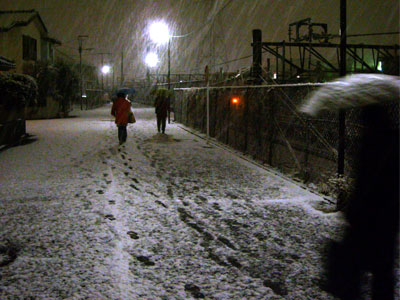 20110214雪DSCN2209SM