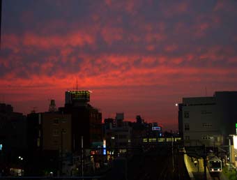 02f49129.jpg