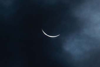 08f31794.jpg