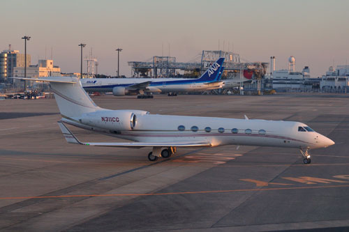 20100130DSC_1222N311CGガル