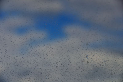 20101121雨DSC_7512SM