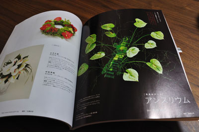 20110514DSC_8786フローリス