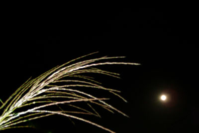 20110912DSCN3133中秋の名月S