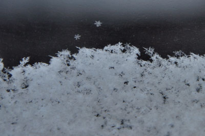 20100217DSC_1422雪結晶SM