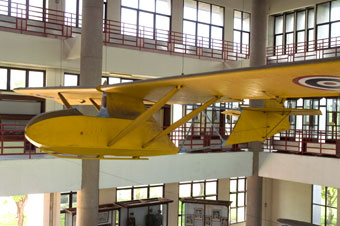 499f6187.jpg