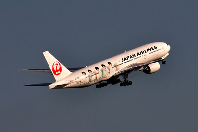 20111124_0563JAL嵐ジェットS