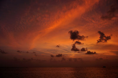 20100403ゆうひDSC_2424SM