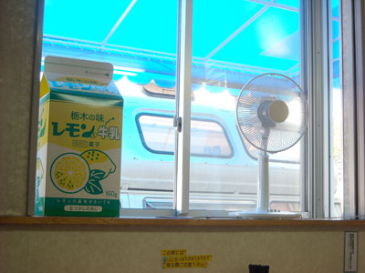 20110712DSCN2761特大レモン