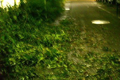 20110921DSCN3168台風SM