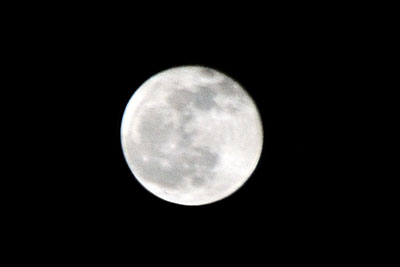 20101222DSC_7675月SM
