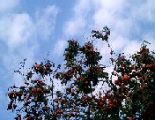 8d21d106.jpg