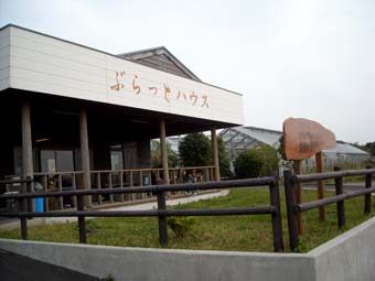 93f0d832.jpg
