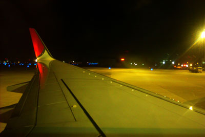 20101223DSCN2034JEXウイング