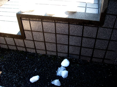 20110213DSCN2205とけだるまS