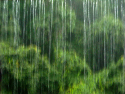20100716DSCN1282夕立