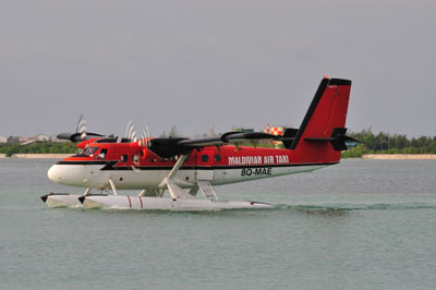20100405DSC_3087モルジビア