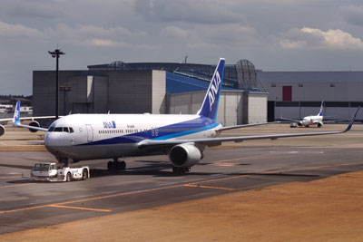 DSC_8172ANA_B767ウイングレ