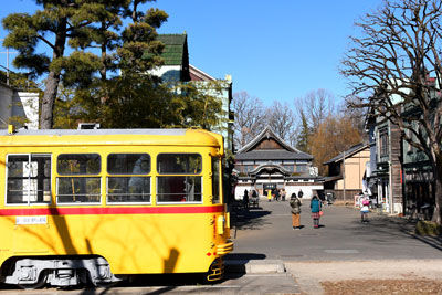 20190114DSC_4234東京たてもの園SM