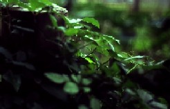 c38311a9.jpg