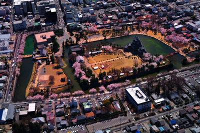 20110417DSC_8631松本城桜SM