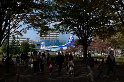 20141026DSC_0848YS-11SM