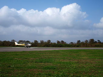 e55519bd.jpg
