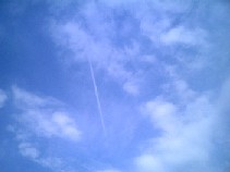 ed98159a.jpg