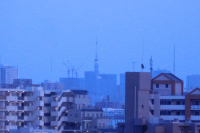 20180629DSCN8972東京タワーSM