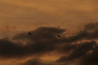 20100719DSC_4980夕空SM