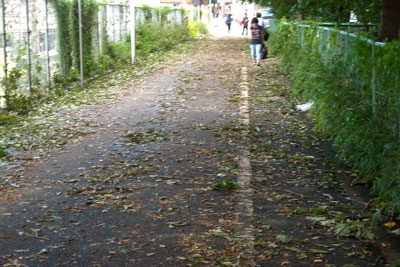 20110921DSCN3173台風SM