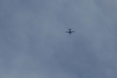 20110704DSCN2740YS-11SM