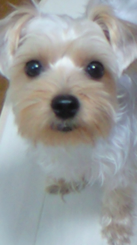 hana