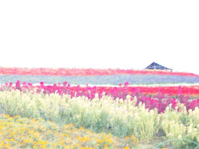 100_0125
