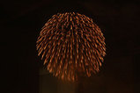 hanabi3