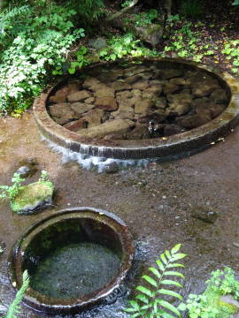 DSC09450