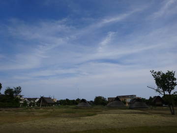DSC08902