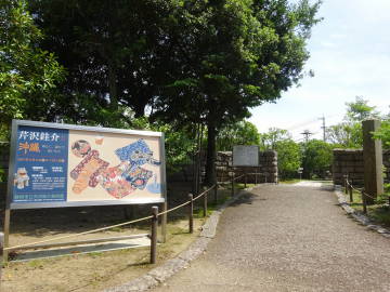 DSC08894