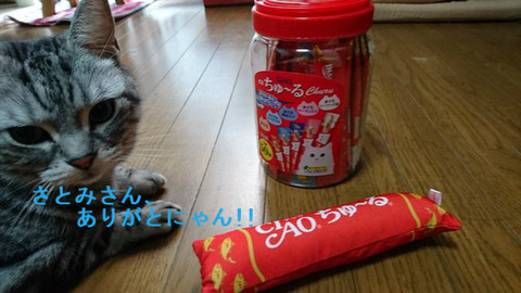 BlogPaint