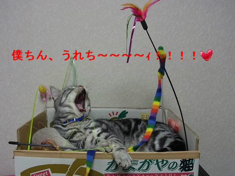BlogPaint