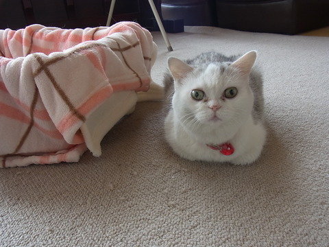 12010211