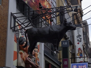 12011716