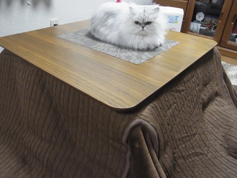 14012702
