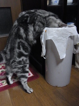 12010620