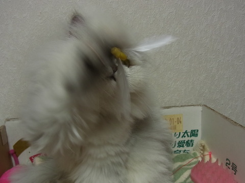 13012034