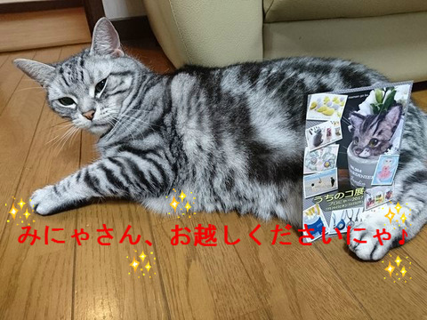BlogPaint