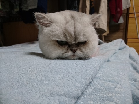 17072301