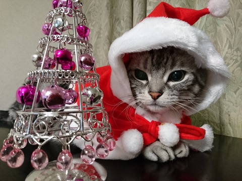 17122402DSC_1401