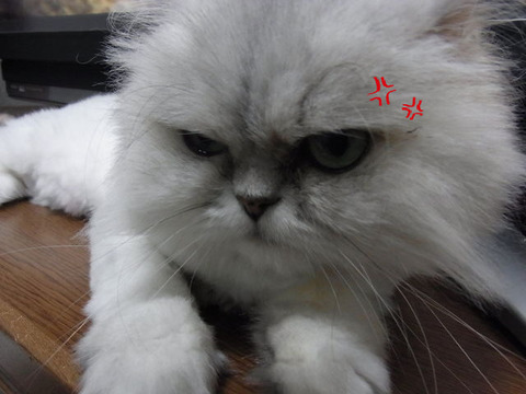 BlogPaint
