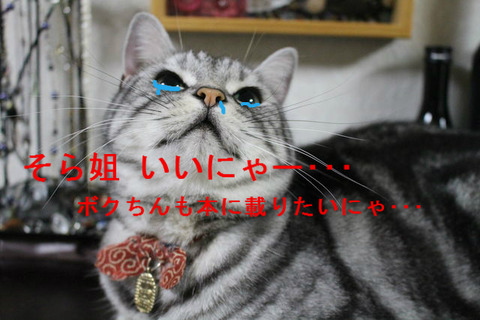 BlogPaint