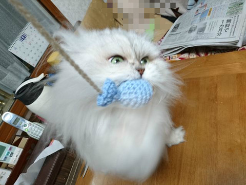 BlogPaint
